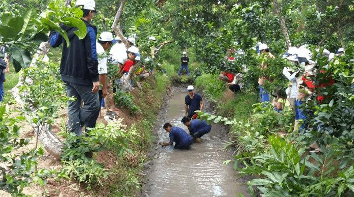 Tát mương bắt cá (sưu tầm)