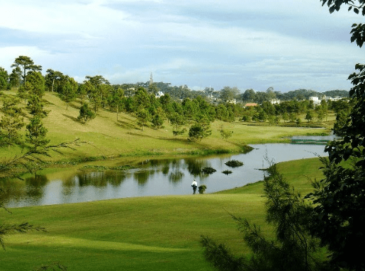 Sân golf đẳng cấp (sưu tầm)