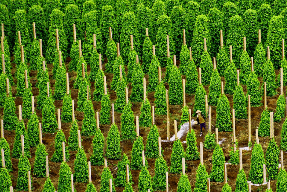 phú quốc cực đẹp