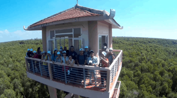 Hòn thác giữa rừng tràm (sưu tầm)