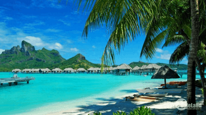 Trải nghiệm thú vị tại Bãi Trường (sưu tầm)