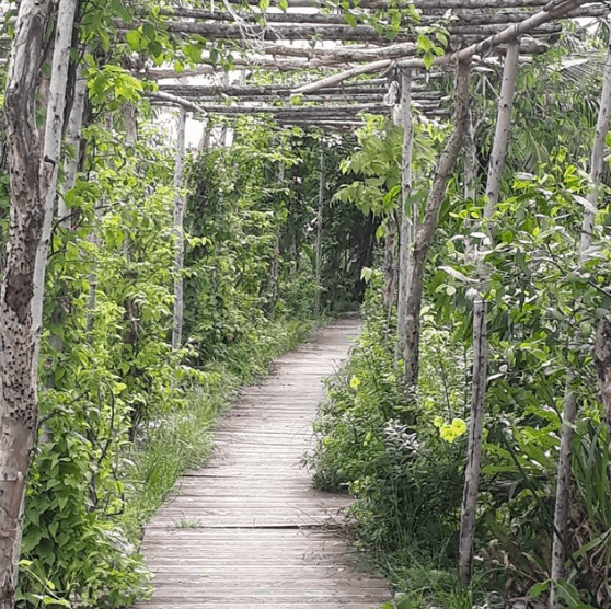 địa điểm du lịch gần sài gòn giá rẻ