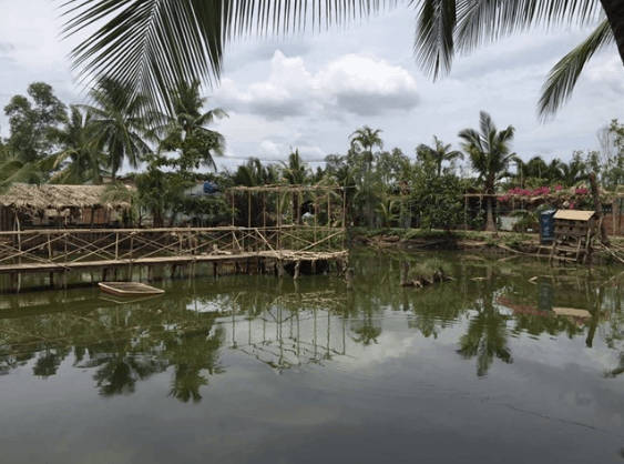 Khung cảnh dân dã (sưu tầm)