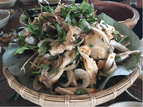 Khám phá toàn bộ cây nhà lá tại vườn (sưu tầm)