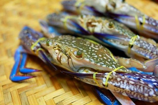 Ghẹ xanh tuyệt vời ở Hàm Ninh