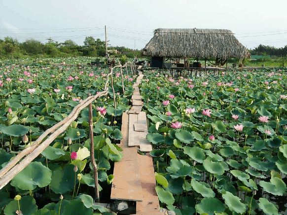 các địa điểm vui chơi ở quận 9