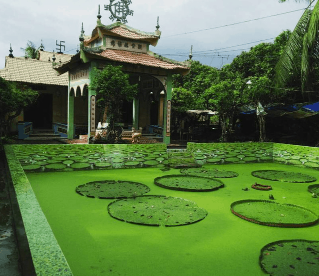 Chùa Phước Kiển - Đồng Tháp
