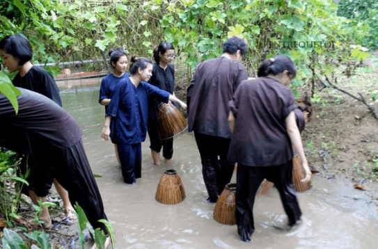 Tham gia hoạt động bắt cá tại khu du lịch sinh thái Phú An Khang