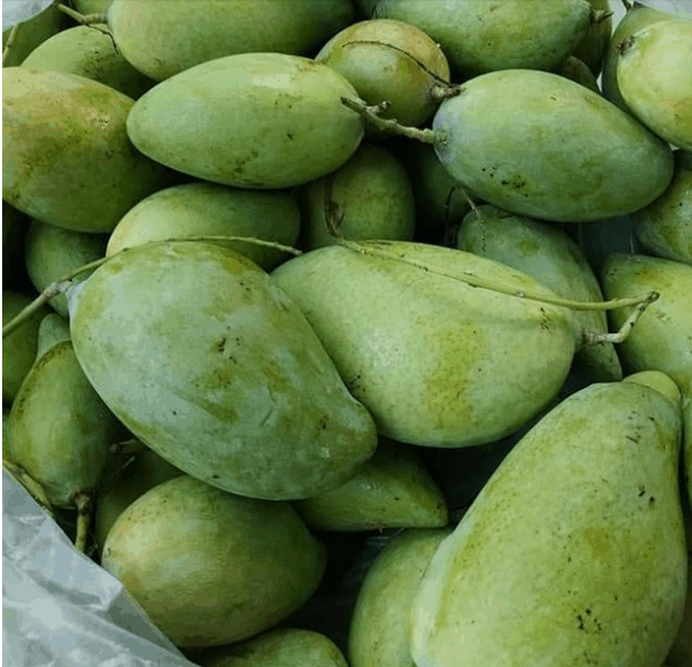 Thưởng thức hương vị trái cây