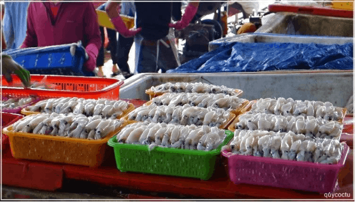 đảo Thổ Châu