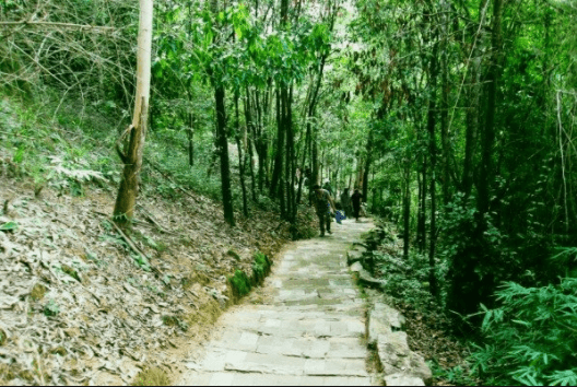 núi cậu