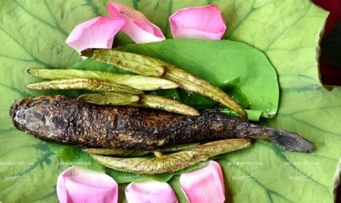 đặc sản đồng sen tháp mười