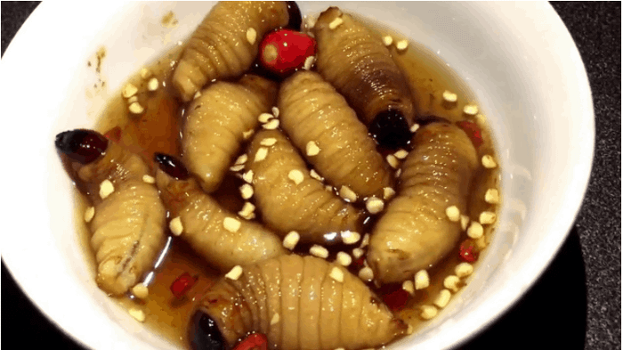 đuông dừa sống