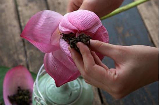 đặc sản đồng sen tháp mười