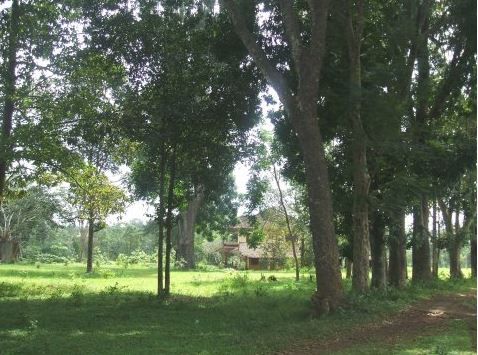 Khu du lịch Suối Tre Đồng Nai
