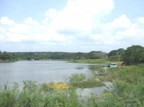 khu du lịch suối tre đồng nai