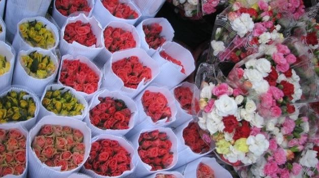 bí quyết chọn hoa