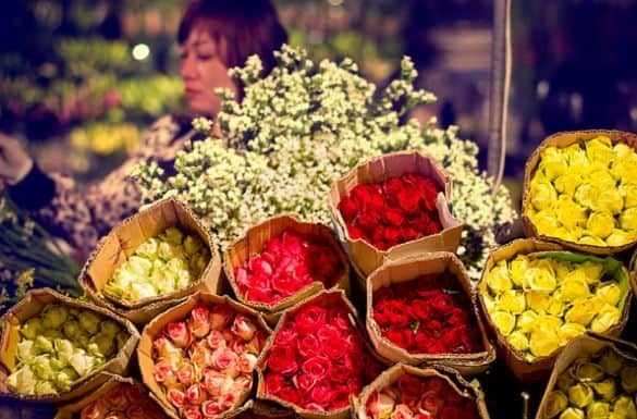 chợ hoa hồ thị kỷ