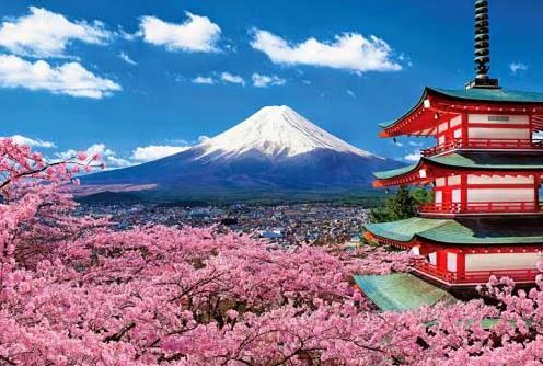 Mùa Sakura (Ảnh st)