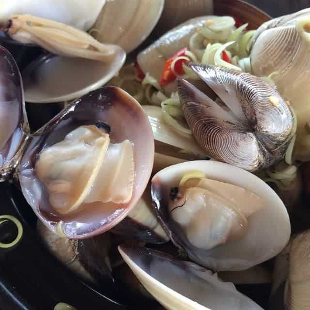 Nghêu biển Tân Thành (ảnh ST)