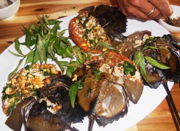 Thưởng thức món ăn từ sam biển (ảnh ST)
