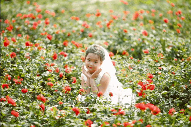 Khoảnh khắc tuyệt vời tại vườn hoa Mãn Đình Hồng (ảnh ST)