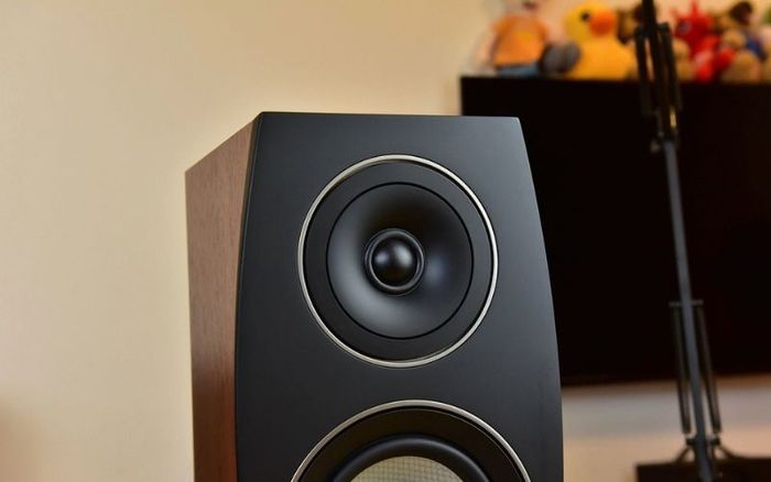 Phần trước của loa được nhà sản xuất gia cố thêm một tấm kim loại