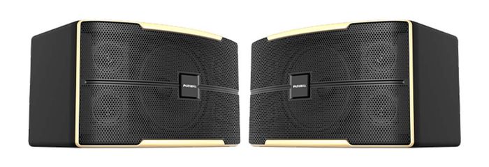 Loa karaoke 10 Inches Paramax Z-1500