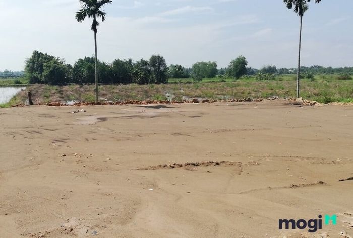 Khi quyết định mua đất tại Đức Hòa, Long An, bạn cần đặc biệt chú ý đến người hoặc tổ chức bán đất cho mình.