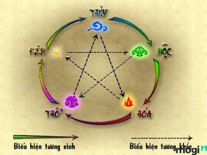 Lục hợp là gì?