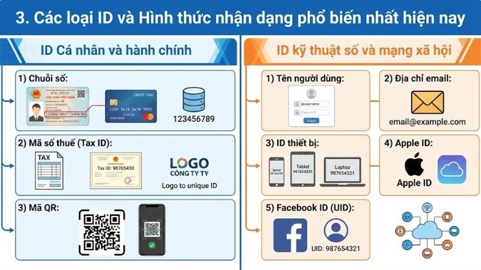 ID là gì? Tầm quan trọng của ID trong quản lý thông tin hiện đại ...