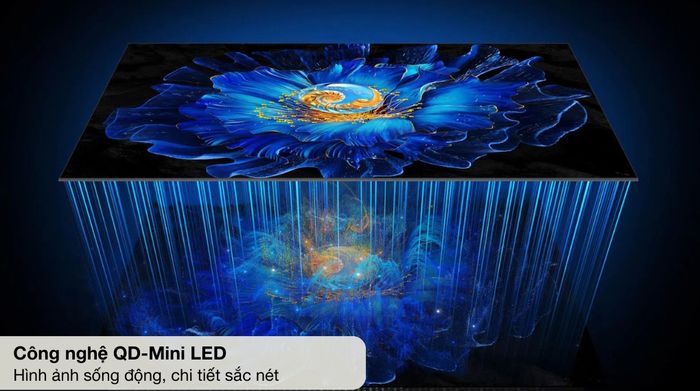 Google Tivi QD-Mini LED TCL AI 4K 55 inch 55C6KS - Công nghệ hình ảnh