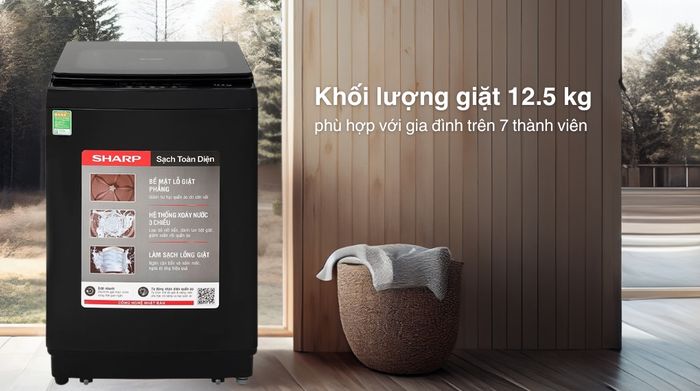 Máy giặt Sharp 12.5 kg ES-TM125CN-BK - Khối lượng giặt và chương trình