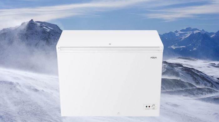 Tủ đông Aqua Inverter 301 lít AQF-C4001EN - Thiết kế