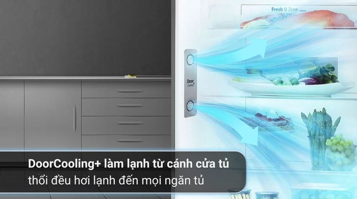 Tủ lạnh LG Inverter 264 Lít GV-D262BL - Công nghệ làm lạnh và bảo quản thực phẩm