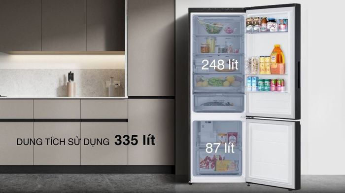Tủ lạnh LG Inverter 335 lít LBB33BLGA - Ngăn đá