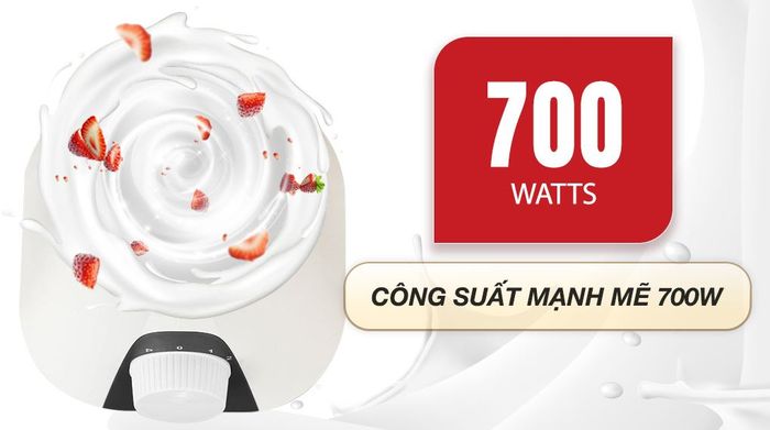 Máy xay sinh tố đa năng Kangaroo KGBL3P1 - Công suất