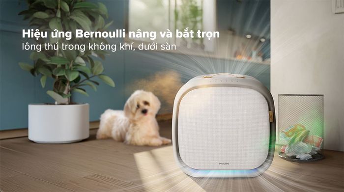 Hút lông thú cưng - Máy lọc không khí Philips AC3360/11 75W
