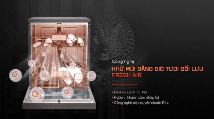 Máy rửa chén độc lập Junger Leopard DWJ-143 - Chức năng khử mùi
