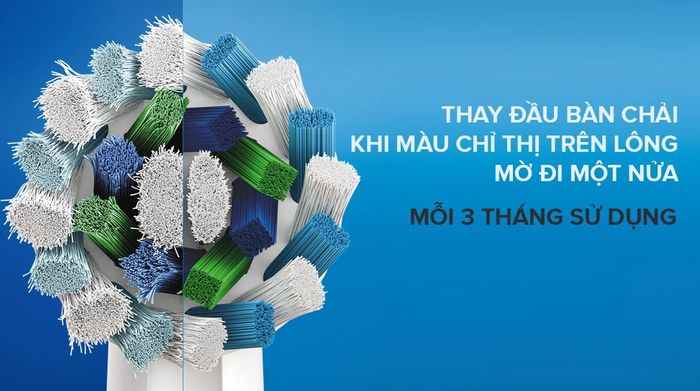 Thay đầu bàn chải - Bàn chải điện Oral-B Pro 500 Deep Clean D16.513