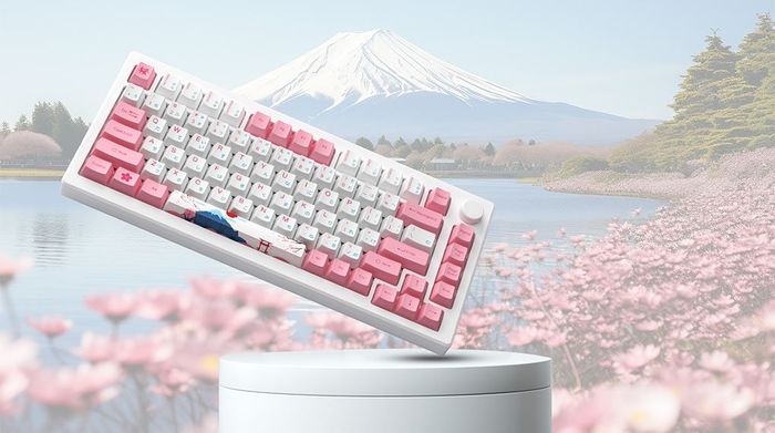 Màu sắc đẹp mắt - Akko MOD007B-HE PC Tokyo Sakura Pink Magnetic Switch