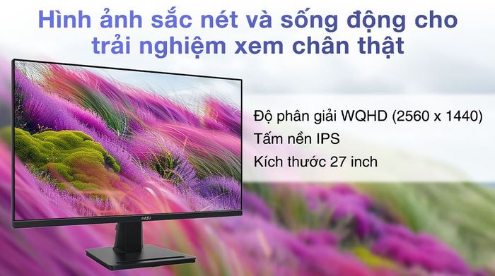 Màn hình MSI PRO MP275Q 27 inch 2K - Màn hình lớn