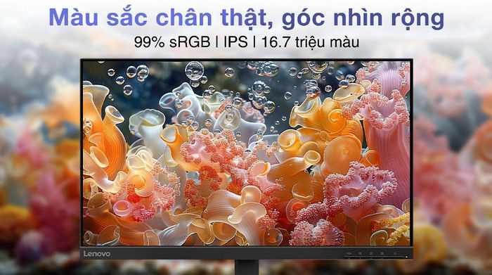Màn hình Lenovo L24-4e 23.8 inch Full HD - Màu sắc chân thật