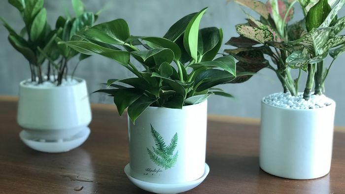 Quà tặng 20/10 thiết thực nhất cho nhân viên