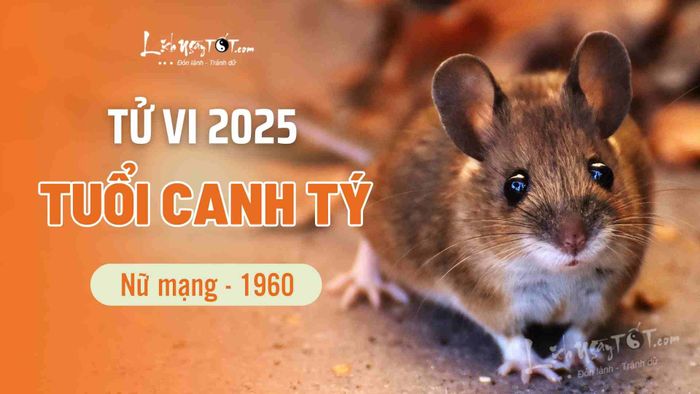 Tử vi năm 2025 cho nữ tuổi Canh Tý 1960