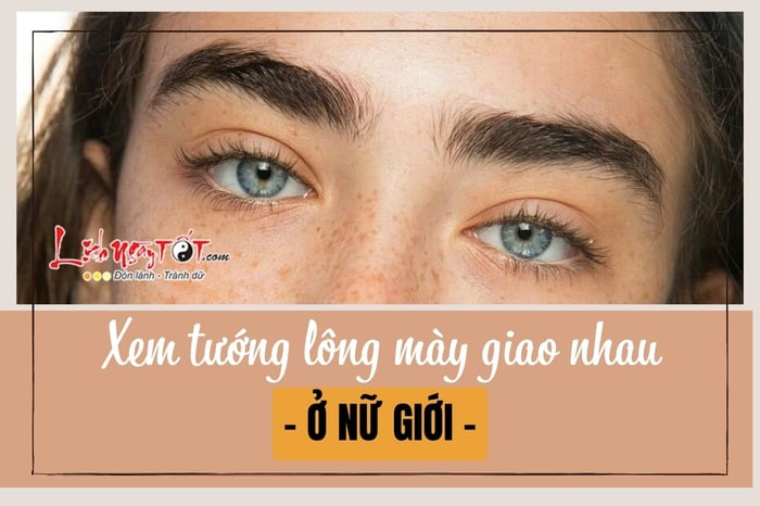 Long mày giao nhau ở nữ giới