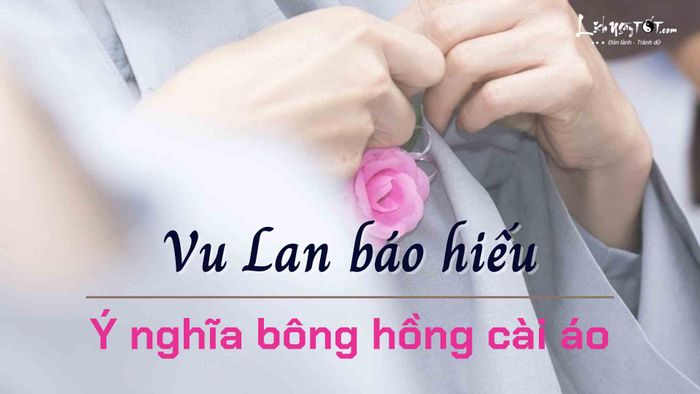 Ý nghĩa của bông hồng cài áo trong mùa Vu Lan