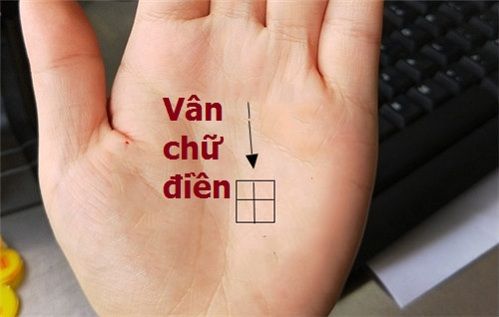 Vân tay hình chữ Điền