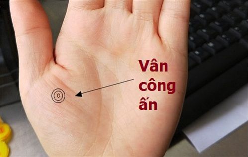 Đường vân Công ấn