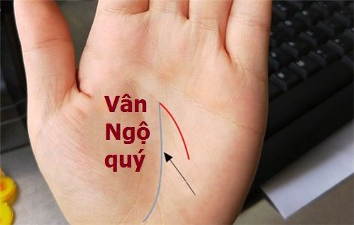 Đường vân Ngộ quý